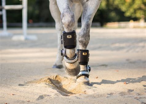 Discovering the Magic Pad: Unlocking the Potential of Shoeless Equines